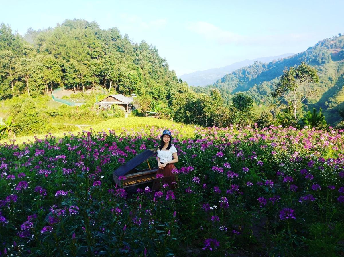 Mu Cang Chai Big View Homestay, Tour & Vegetarian Exteriör bild