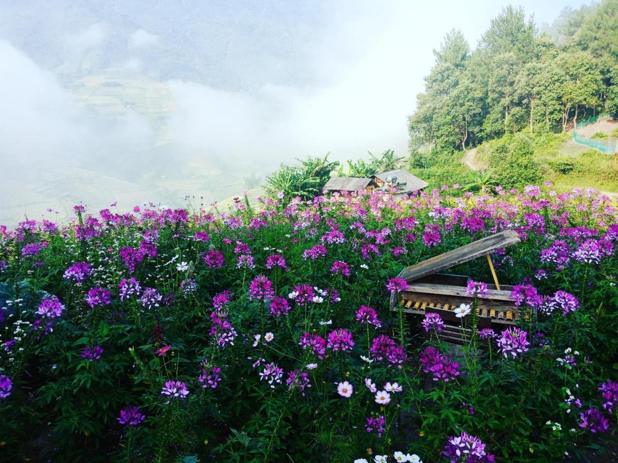Mu Cang Chai Big View Homestay, Tour & Vegetarian Exteriör bild