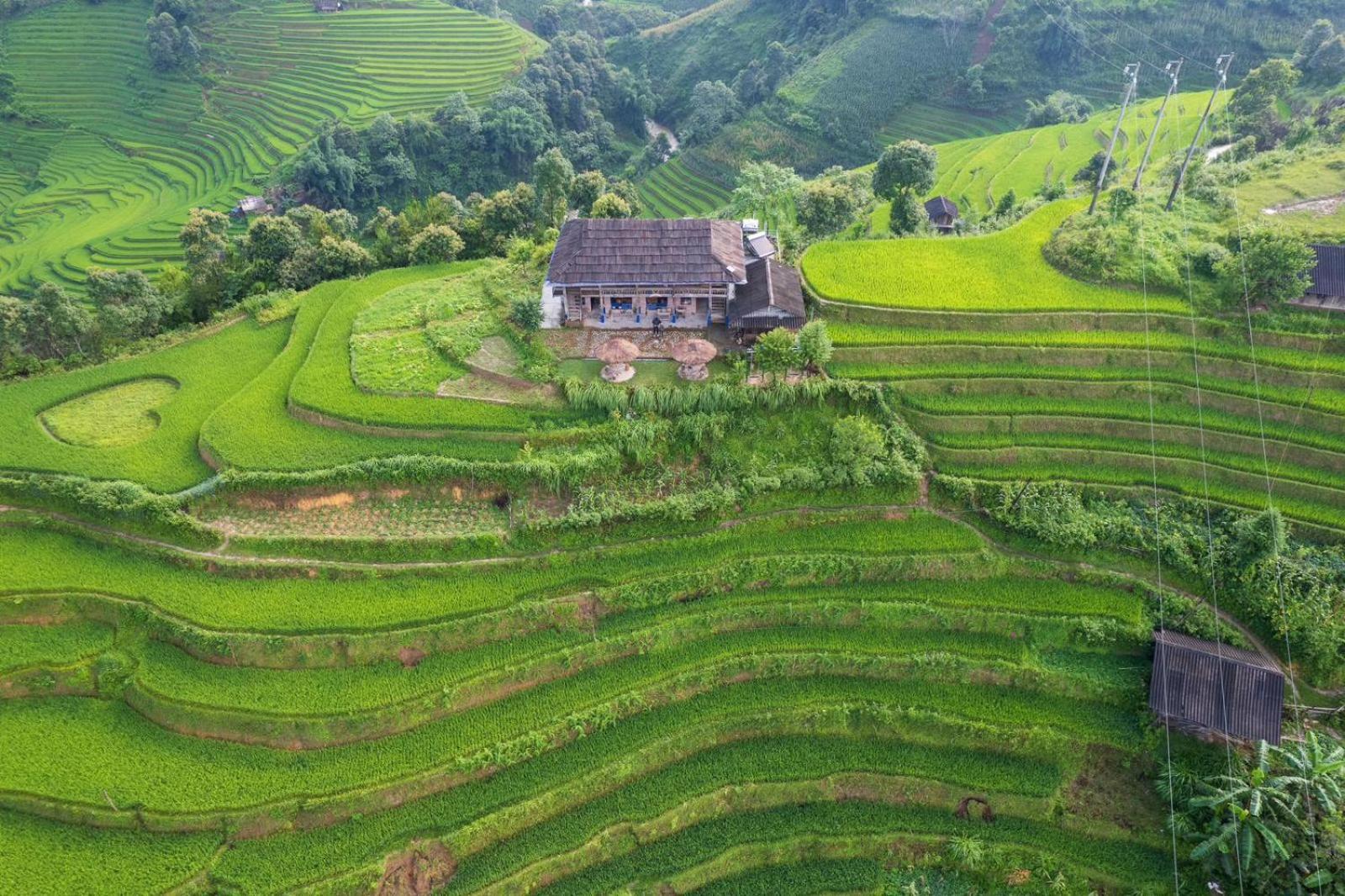 Mu Cang Chai Big View Homestay, Tour & Vegetarian Exteriör bild