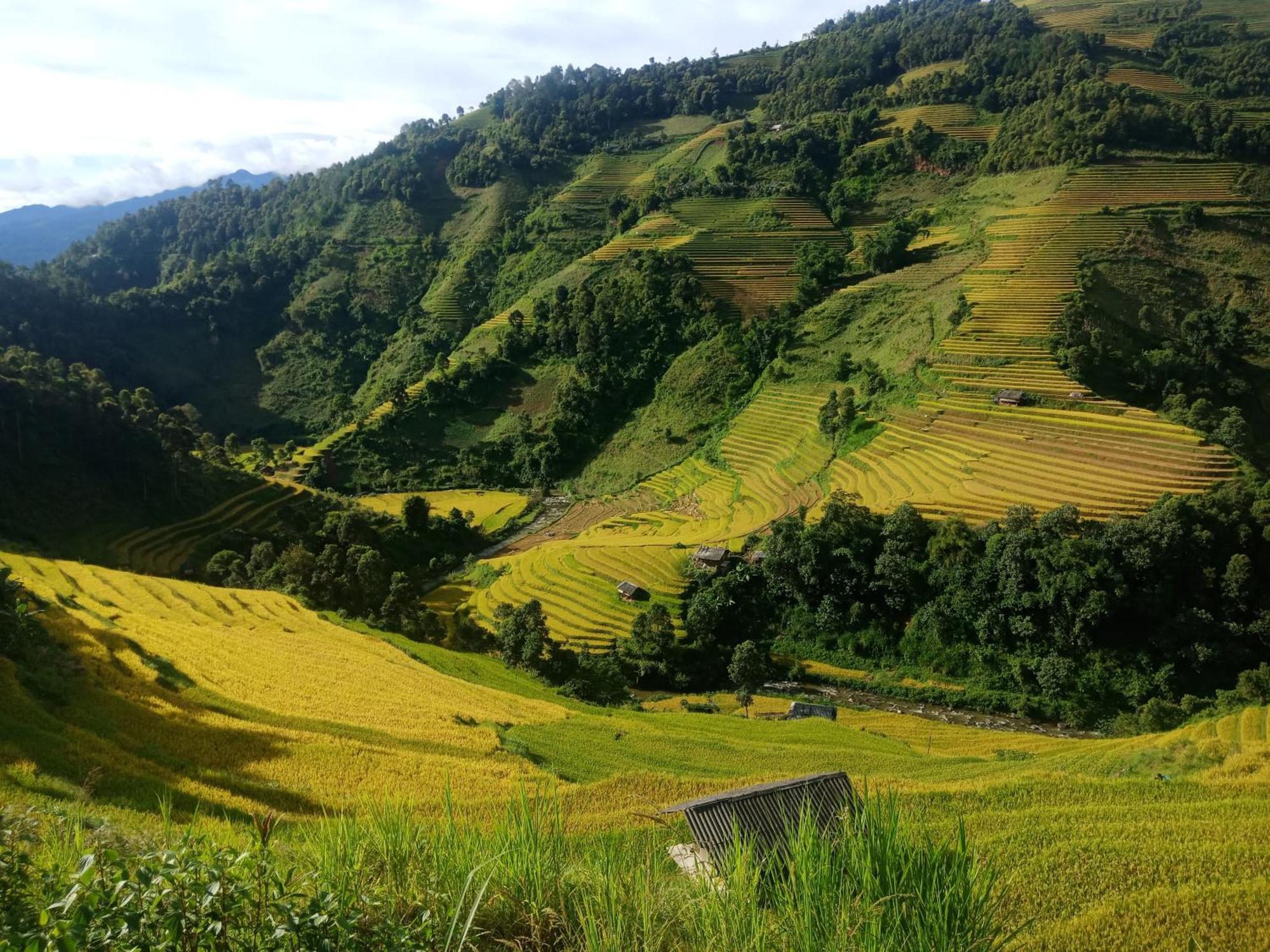 Mu Cang Chai Big View Homestay, Tour & Vegetarian Exteriör bild