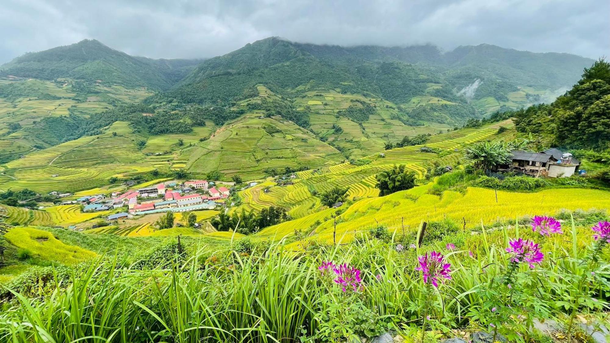 Mu Cang Chai Big View Homestay, Tour & Vegetarian Exteriör bild